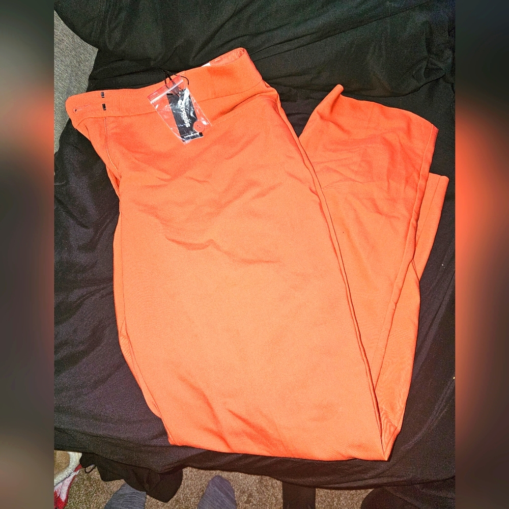 Columnist Express Dress Pants